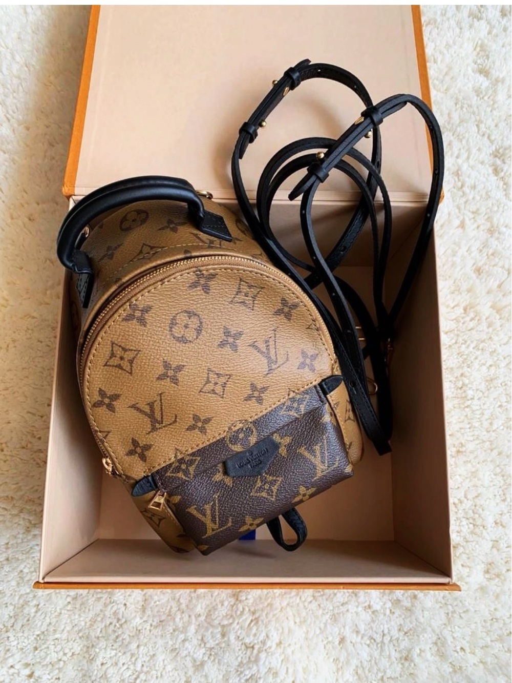 Authentic Louis Vuitton Reverse Monogram Palm Springs Mini Backpack / Bag - Picture 4 of 16